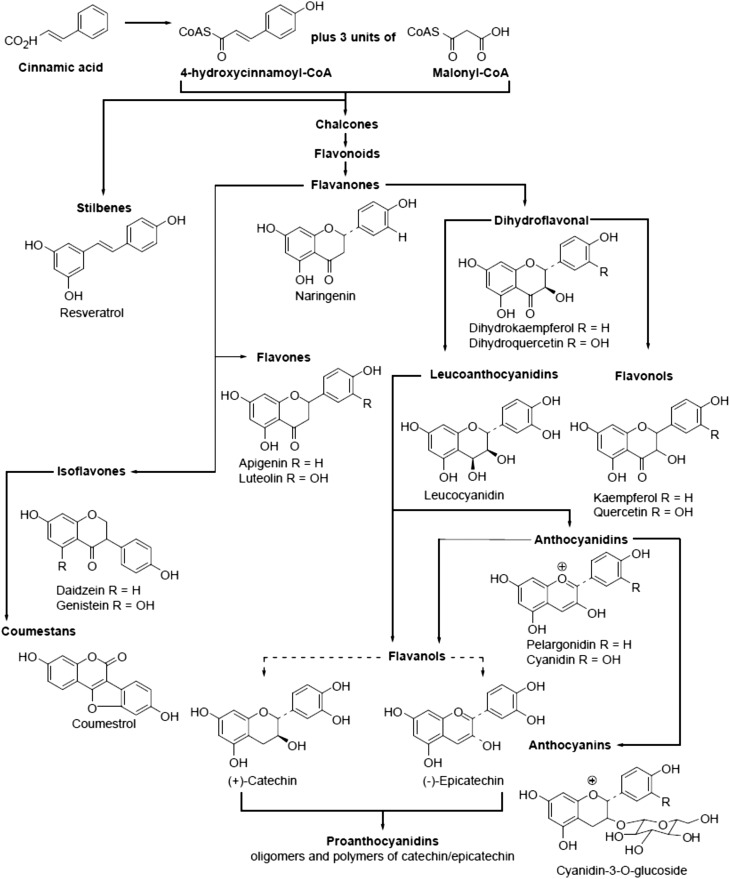 FIGURE 1