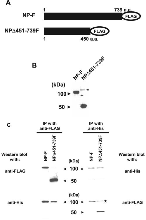 FIG. 4.