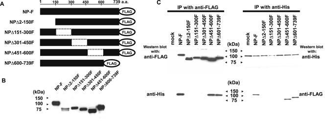 FIG. 3.