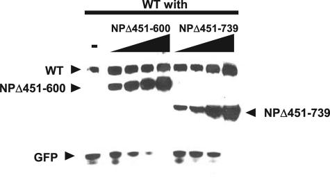 FIG. 7.