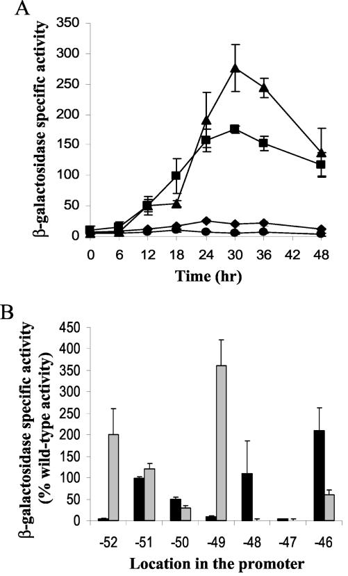 FIG. 1.