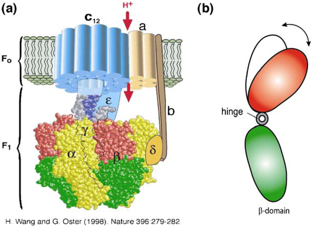 Fig. 6