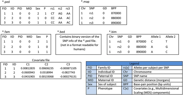 Figure 1