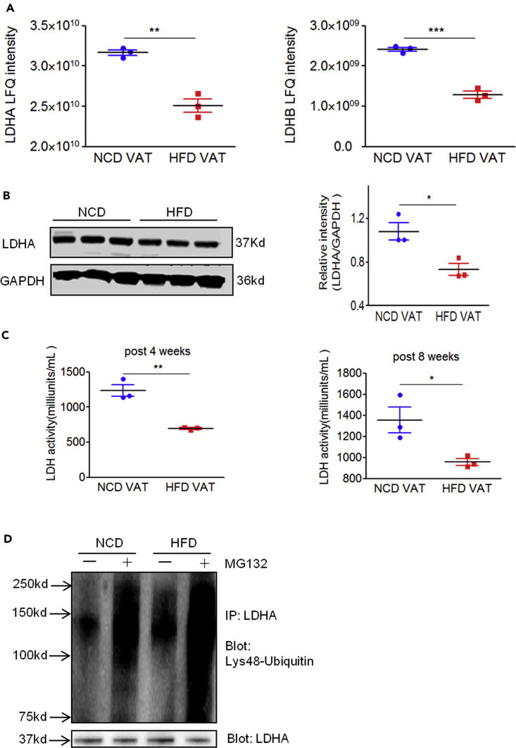 Figure 6