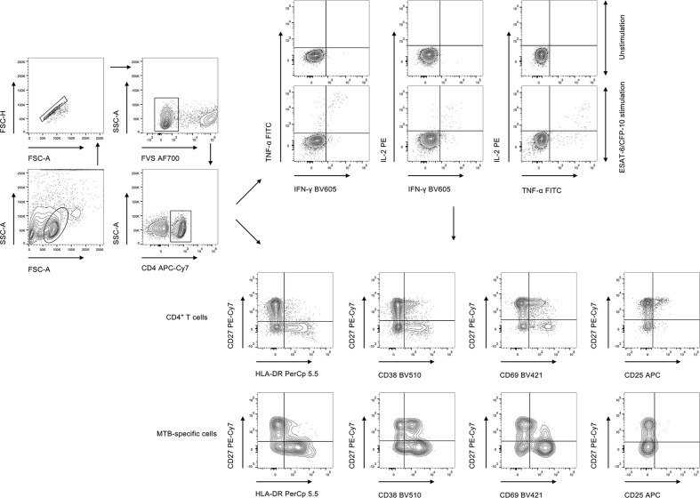 Figure 1