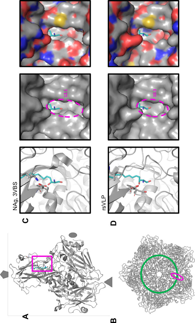 Figure 6: