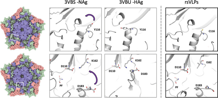 Figure 5: