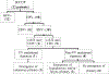Fig. 2. –