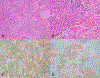 Fig. 3. –