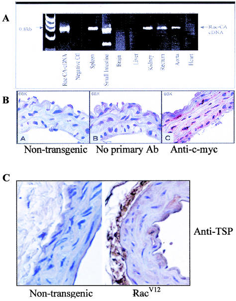 FIG. 6.