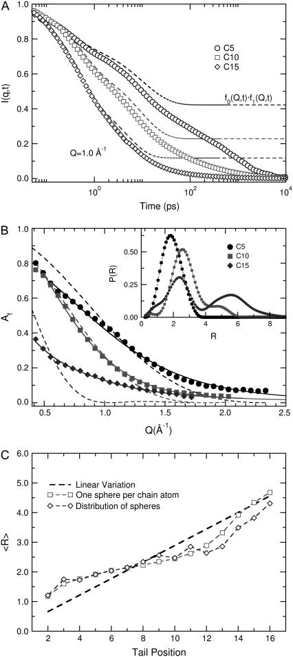 FIGURE 11