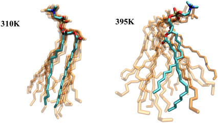 FIGURE 13