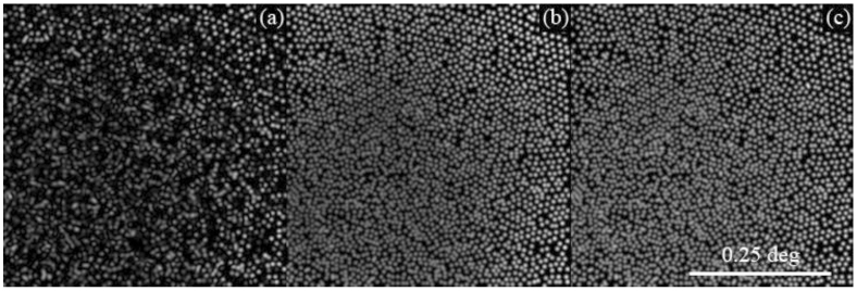 Fig. 7