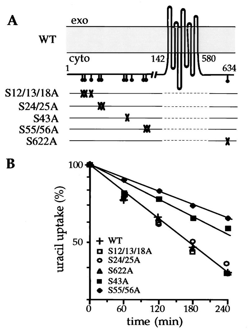 FIG. 1