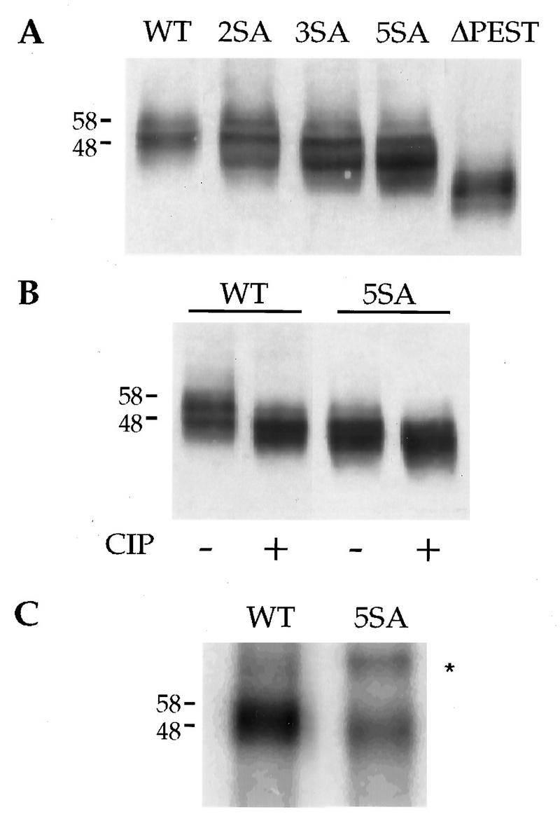 FIG. 4