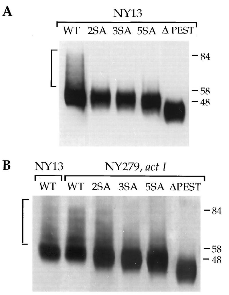 FIG. 6