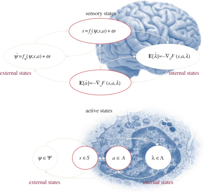 Figure 1.