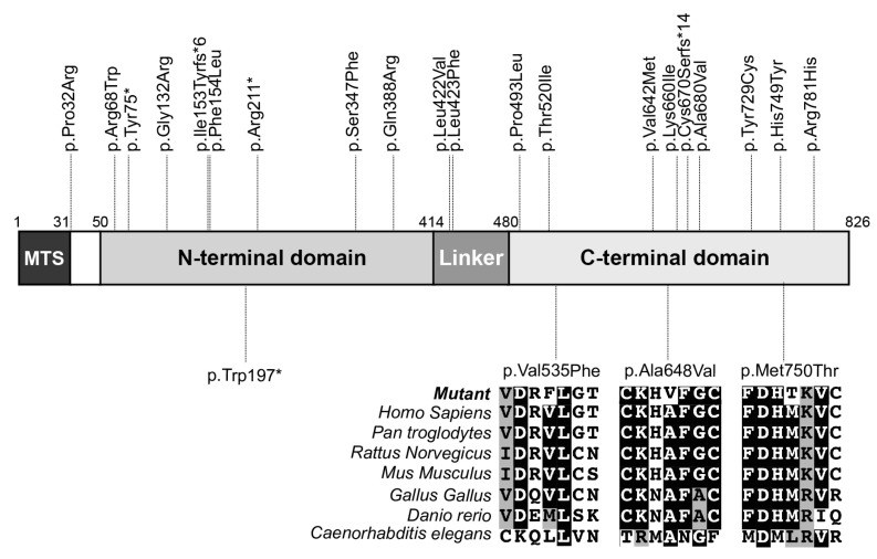 Figure 2