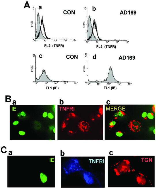 FIG. 6.