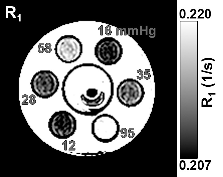 Figure 1b: