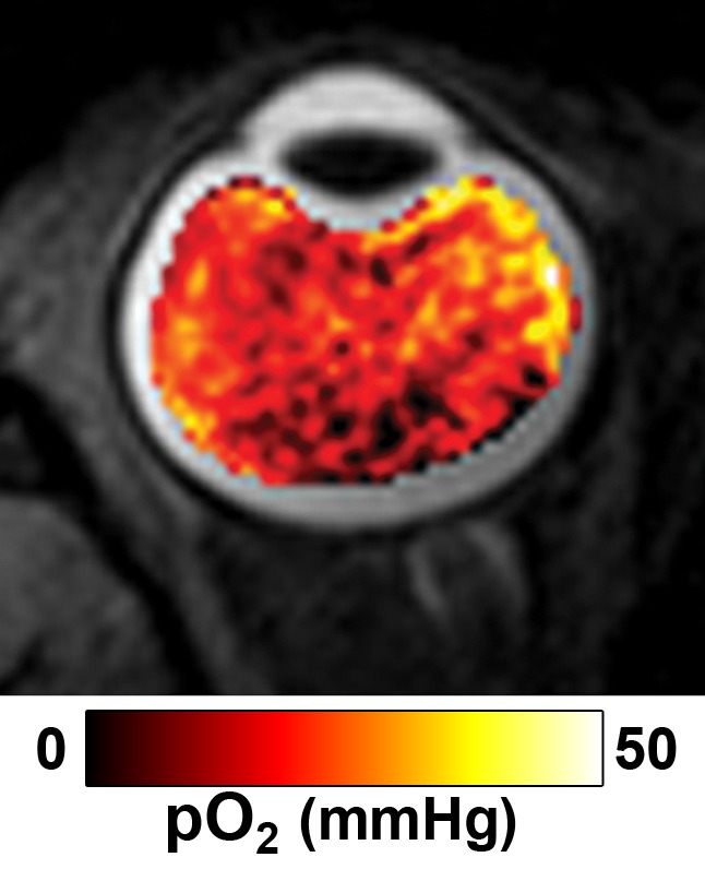 Figure 6a: