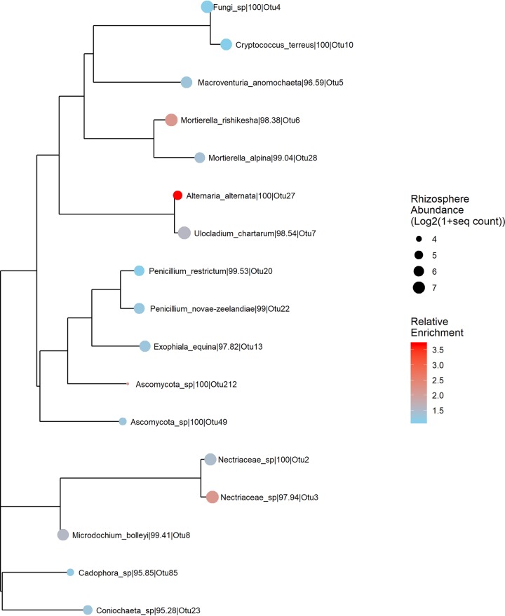 FIG 10