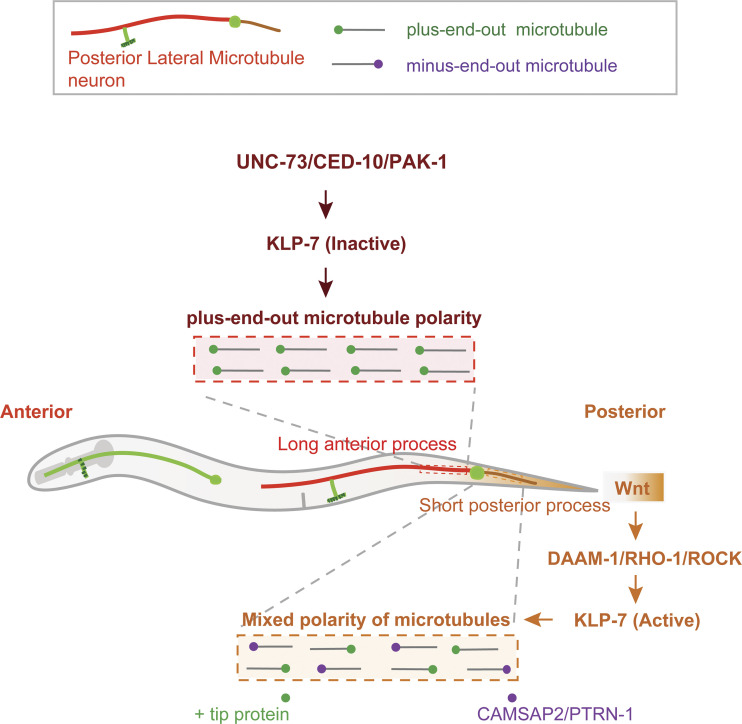 Figure 10.