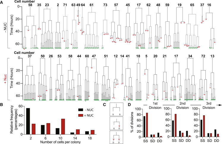 Figure 4