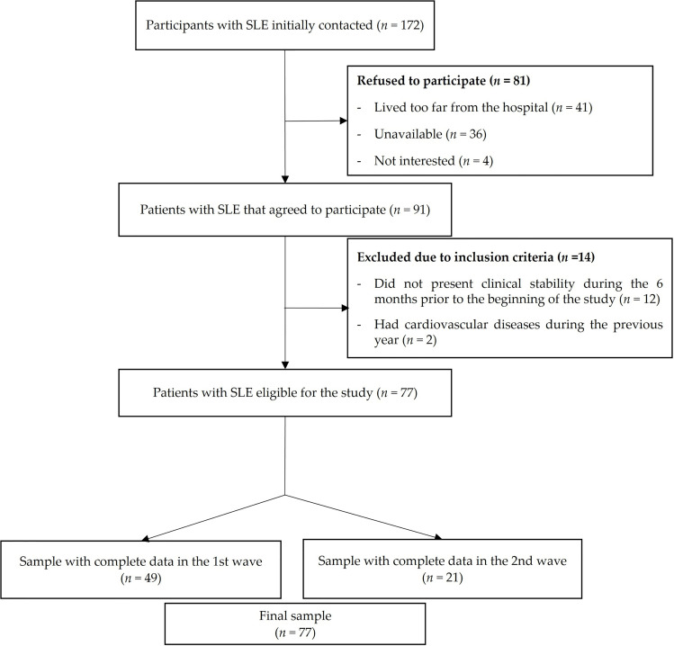 Figure 1