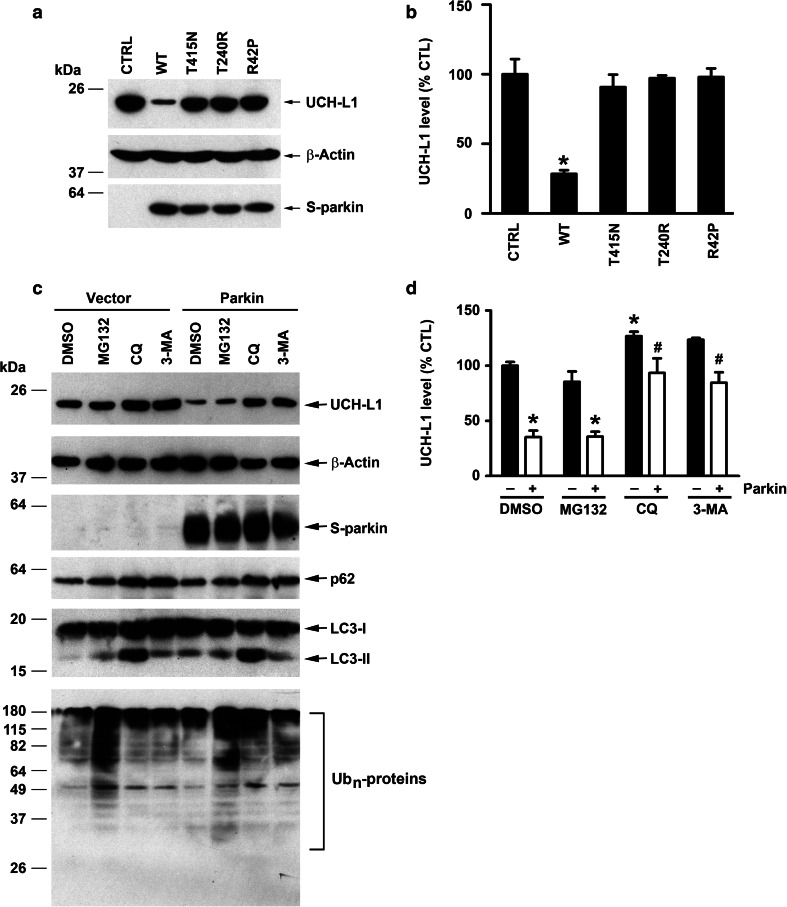 Fig. 8