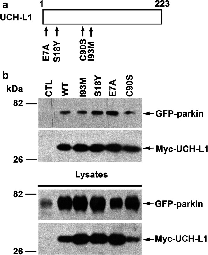 Fig. 3