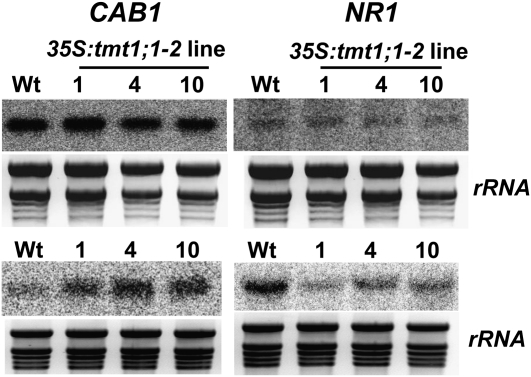 Figure 5.