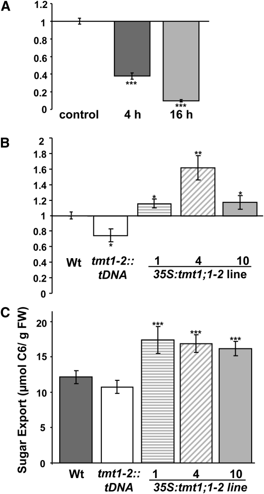 Figure 10.