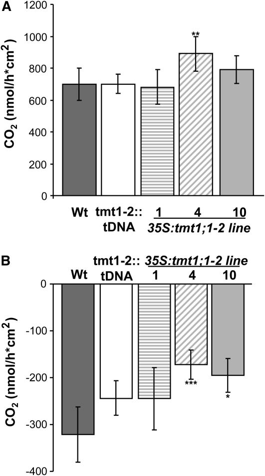 Figure 9.