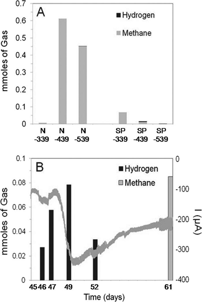 Fig 5