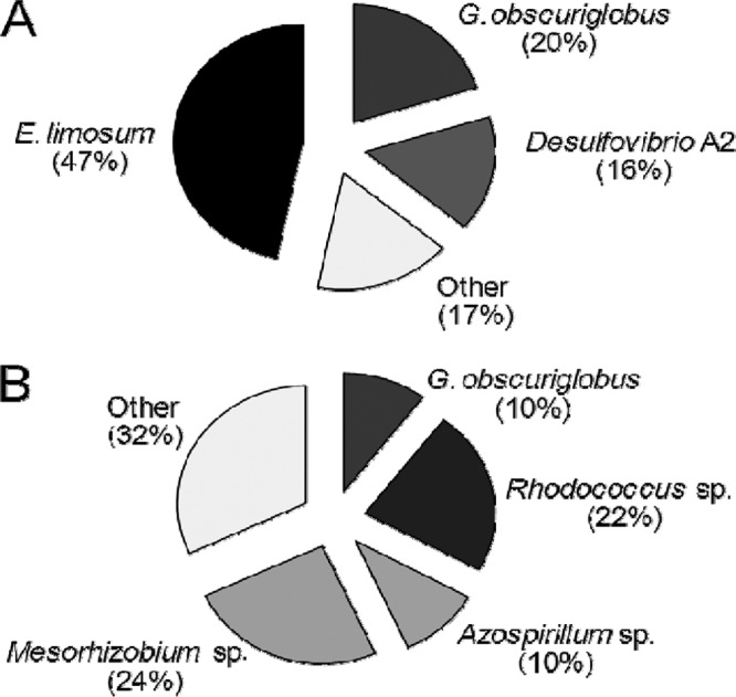 Fig 7