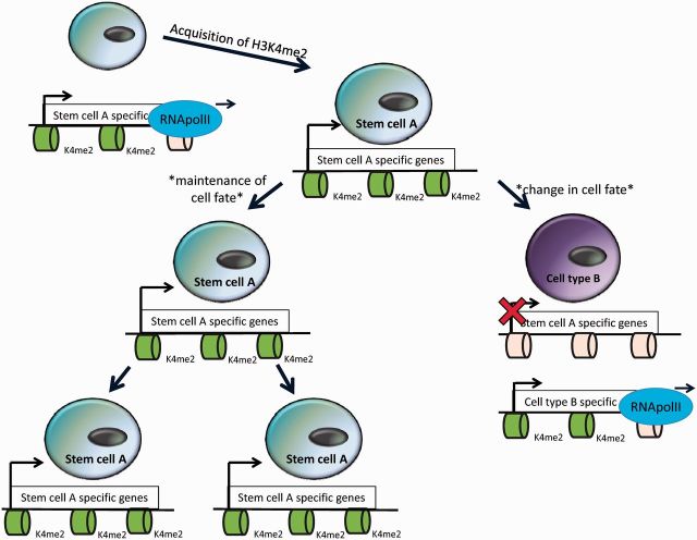 Figure 2: