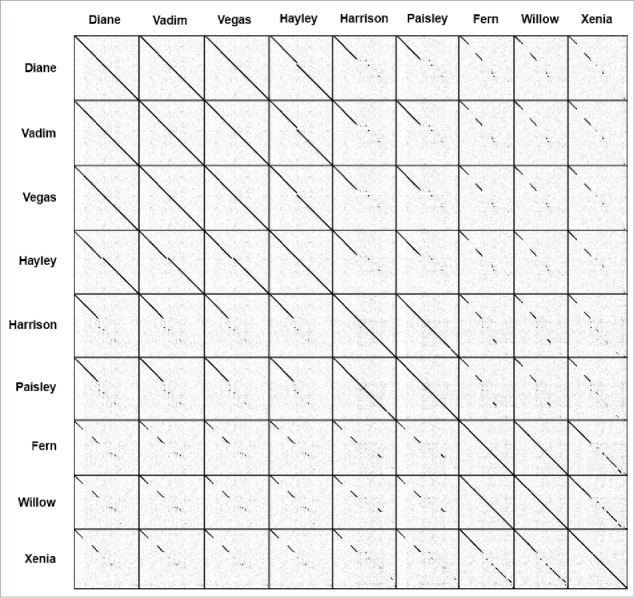 Figure 2.