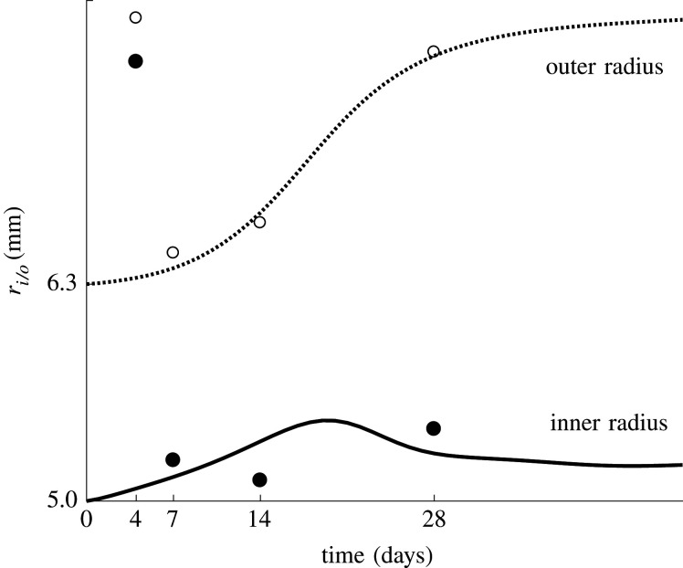 Figure 7. 