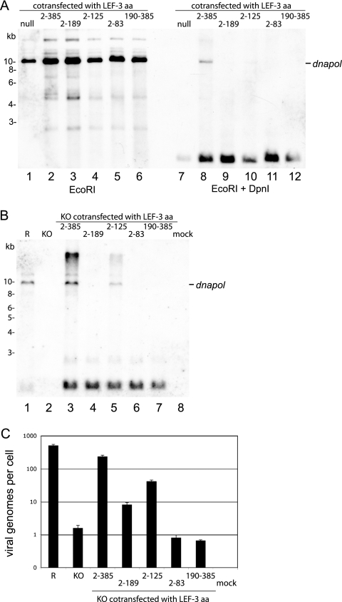 FIG. 5.