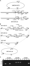 FIG. 1.