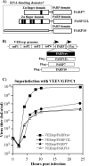 FIG 1