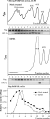FIG 10