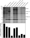FIG 5