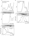 FIG 7