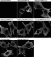 FIG 11