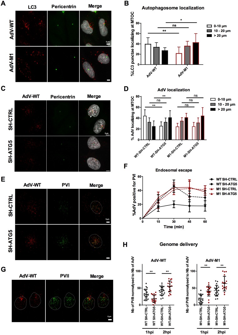 Fig 10