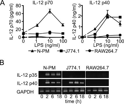 FIG. 1.