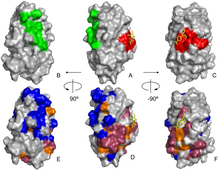 Fig. 6