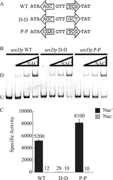 FIG. 2.